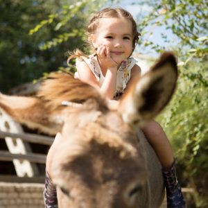 Pony- oder Eselreiten auf dem Schwillehof