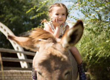 Pony- oder Eselreiten auf dem Schwillehof