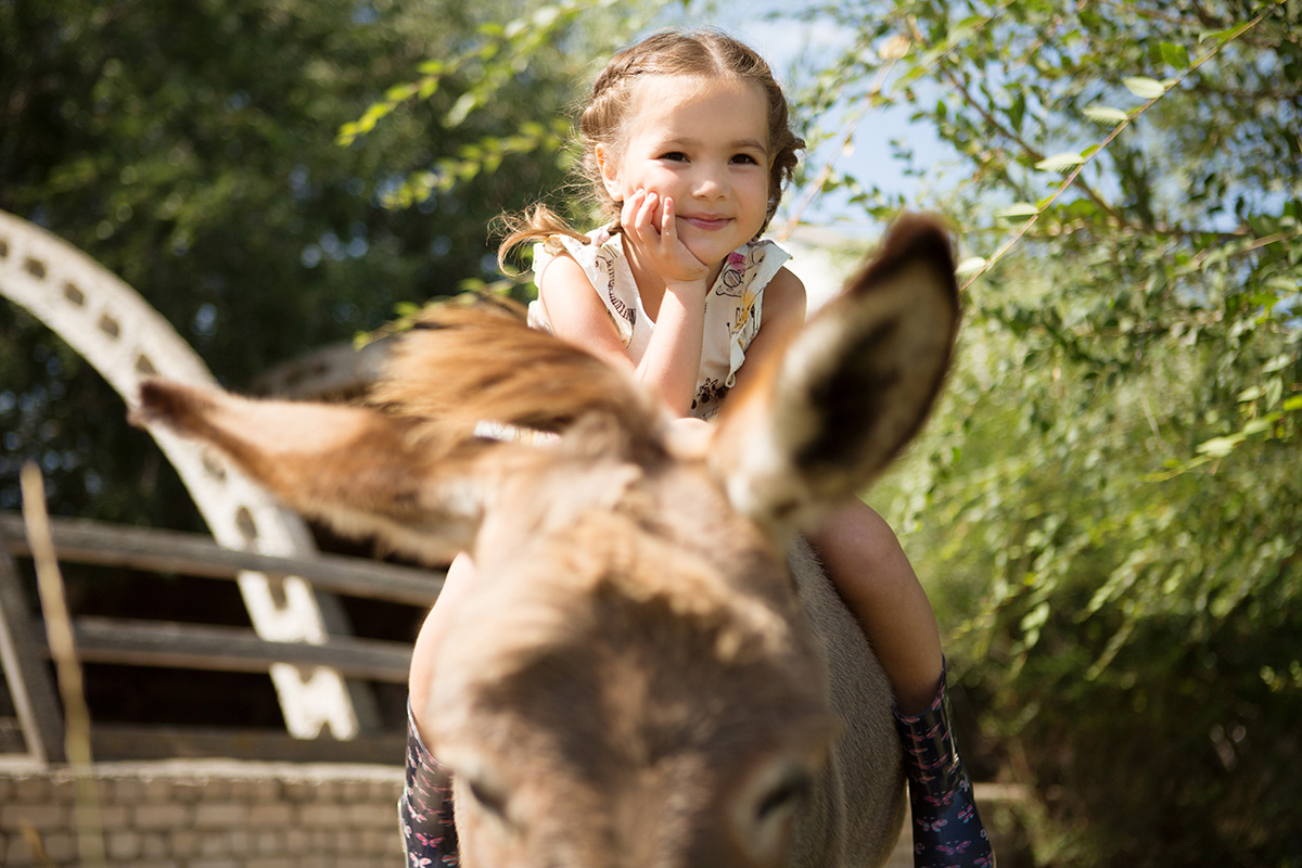 Pony- oder Eselreiten auf dem Schwillehof