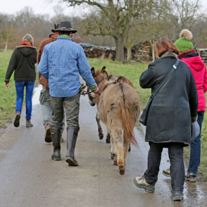 Eselwanderungen auf dem Schwillehof