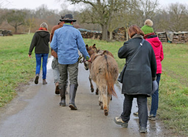 Eselwanderungen auf dem Schwillehof