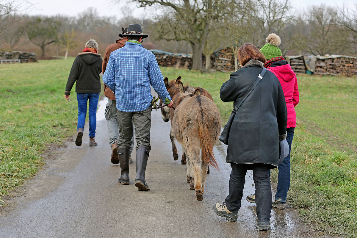 Eselwanderungen auf dem Schwillehof