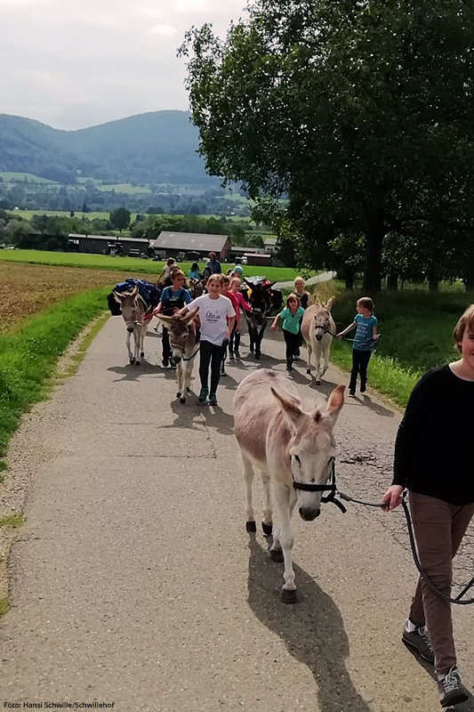 Eselwandern - Am Rande der Schwäbischen Alb.