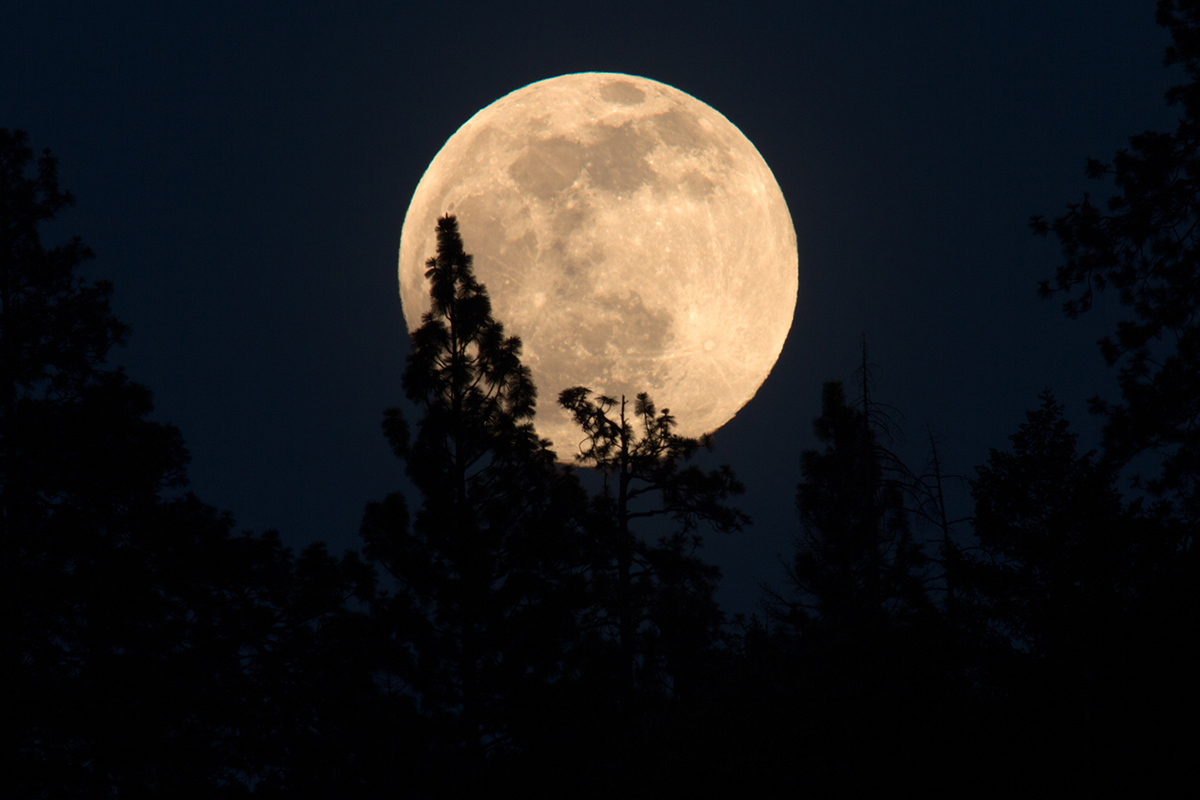 Vollmond Wanderung Mit Eseln Schwillehof In Pfullingen