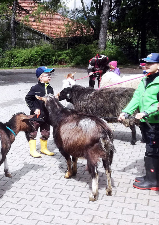 Der Besuch auf dem Schwillehof in Pfullingen ist ein Spaß für Groß und Klein.