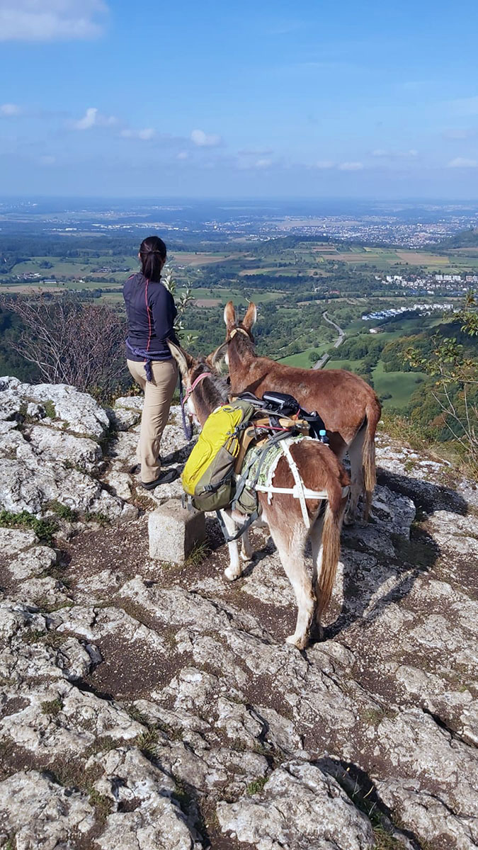 Eselverleih auf dem Schwille Hof in Pfullingen