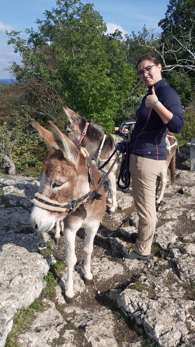 Gutscheine für eine Esel-Wanderung jetzt online bestellen. Für Deinen Spaziergang oder Deine Wanderung mit unseren Eseln. Zu zweit oder mit der ganzen Familie. Eine wirklich gute Idee! Auch als Geschenk.