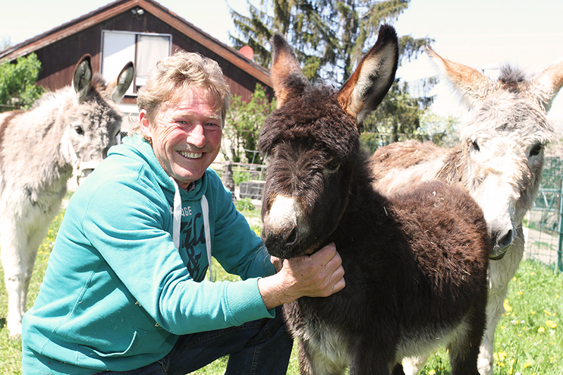 Gutscheinmotive für eine Esel-Wanderung auf dem Schwillehof. Zu zweit oder mit der ganzen Familie. Eine wirklich gute Idee! Auch als Geschenk.