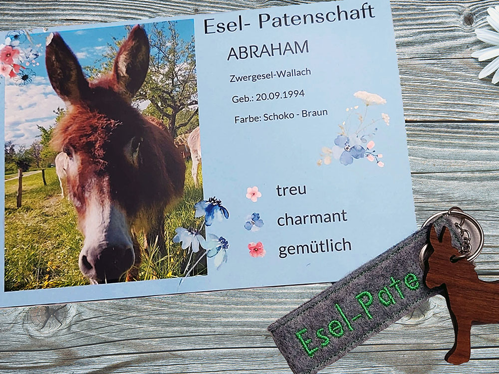 Werde Pate für einen Esel vom Schwillehof