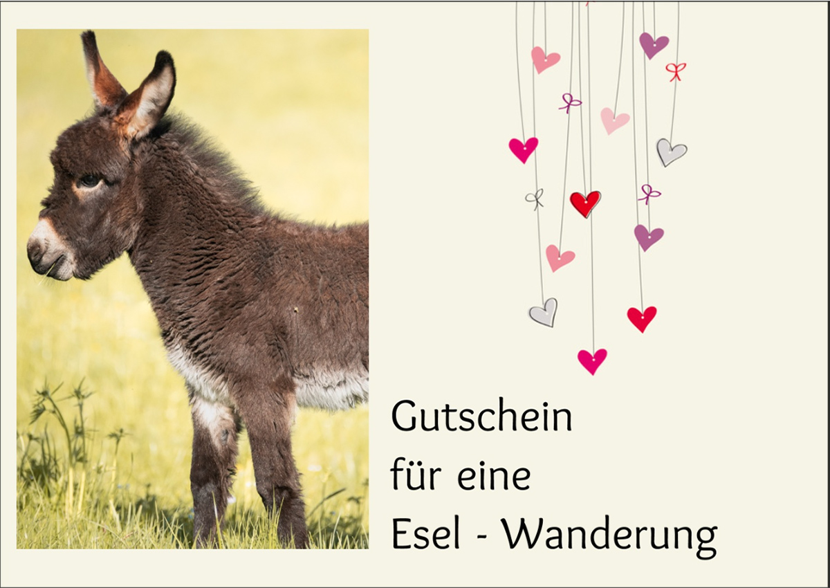 Gutschein für eine Esel-Wanderung Motiv 1