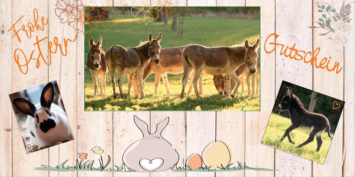 Gutschein für eine Esel-Wanderung Motiv 6 "Frohe Ostern" | © Schwillehof Gutschein für eine Esel-Wanderung Motiv 6 "Frohe Ostern"