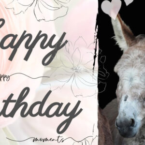 Gutschein für eine Esel-Wanderung Motiv 5 Happy Birthday - happy moments - love