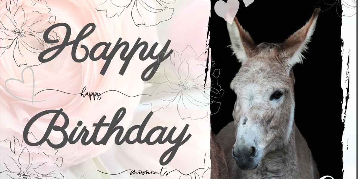 Gutschein für eine Esel-Wanderung Motiv 5 Happy Birthday - happy moments - love