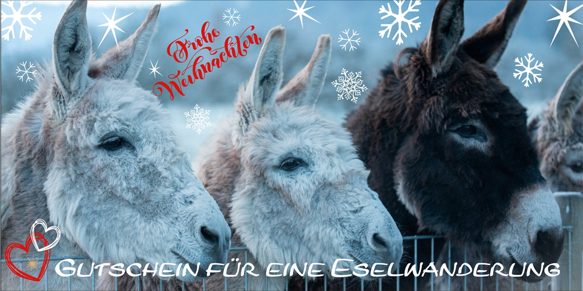 Neue Weihnachtsmotive für unsere beliebten Gutscheine verfügbar! Frohe Weihnachten - Gutschein vom Schwillehof