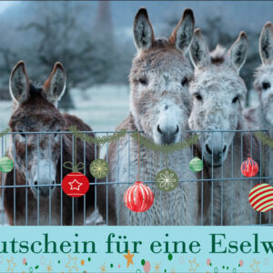Gutschein für eine Esel-Wanderung Motiv 7 Frohe Weihnachten und ein gutes Neues Jahr 1200x600
