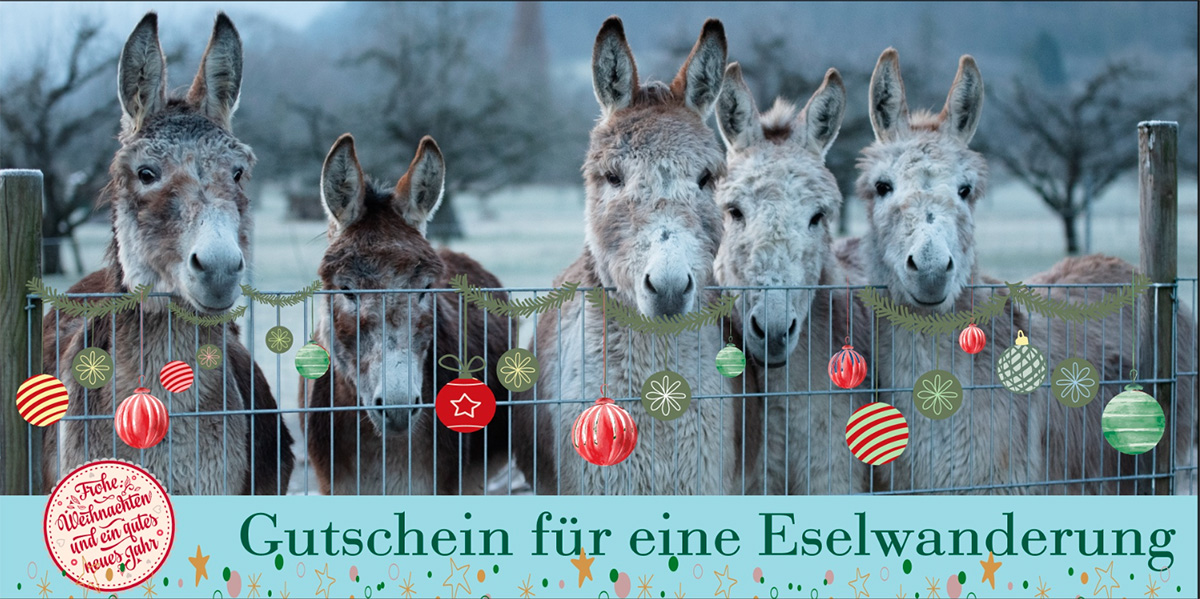 Neue Weihnachtsmotive für unsere beliebten Gutscheine verfügbar! Frohe Weihnachten und ein gutes Neues Jahr - Gutschein vom Schwillehof