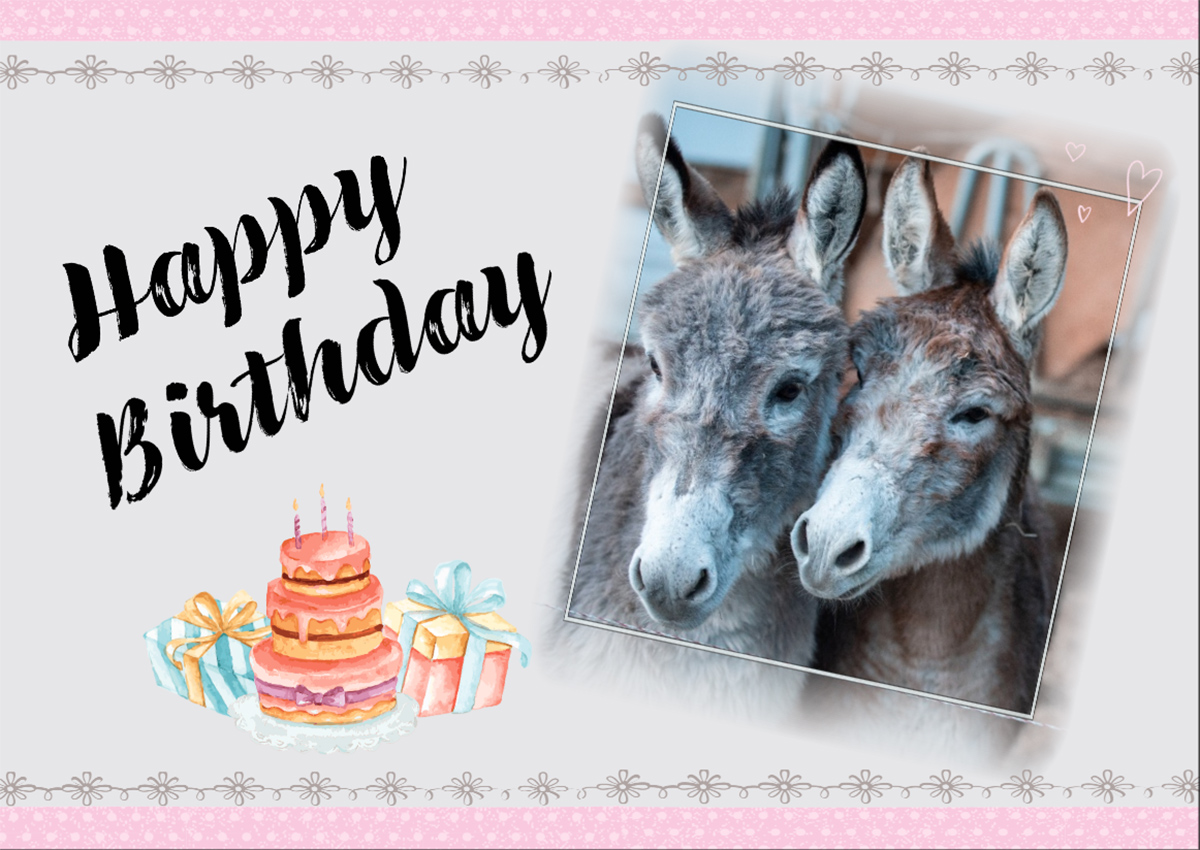 Gutschein für eine Esel-Wanderung Motiv 4 - Happy Birthday